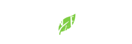 skin fix (1)